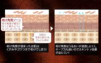 ナガセクレンジングクリーム 夏の透明肌応援キャンペーンセット (フル・フル Limited)